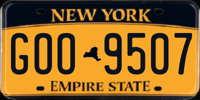 NY license plate GOO9507