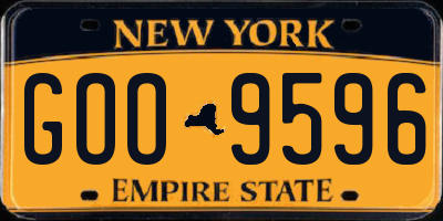 NY license plate GOO9596