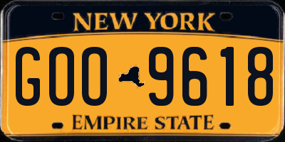 NY license plate GOO9618