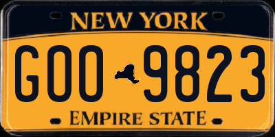 NY license plate GOO9823