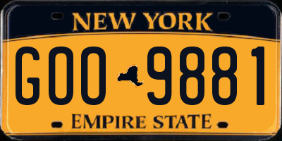NY license plate GOO9881