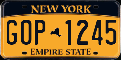 NY license plate GOP1245