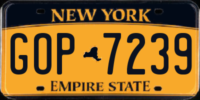 NY license plate GOP7239
