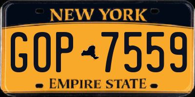 NY license plate GOP7559