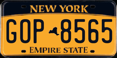 NY license plate GOP8565