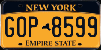 NY license plate GOP8599