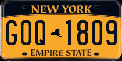 NY license plate GOQ1809