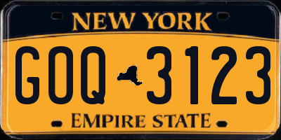 NY license plate GOQ3123