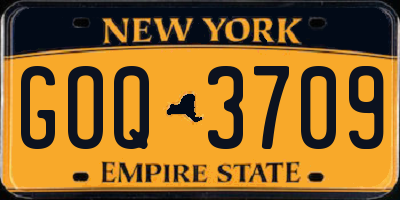 NY license plate GOQ3709