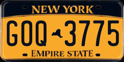 NY license plate GOQ3775