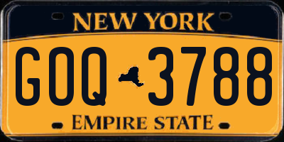 NY license plate GOQ3788