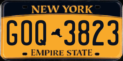 NY license plate GOQ3823