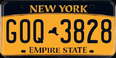 NY license plate GOQ3828