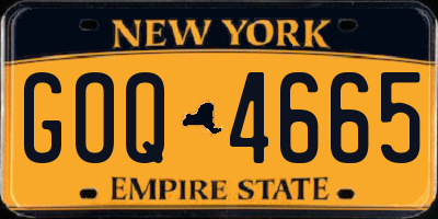 NY license plate GOQ4665