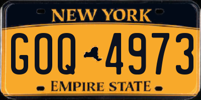 NY license plate GOQ4973