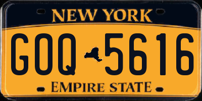 NY license plate GOQ5616