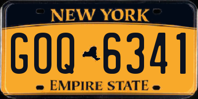 NY license plate GOQ6341