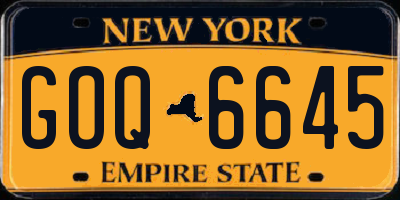 NY license plate GOQ6645