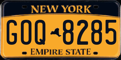 NY license plate GOQ8285