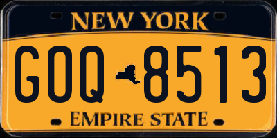 NY license plate GOQ8513