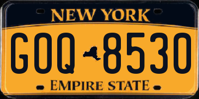 NY license plate GOQ8530