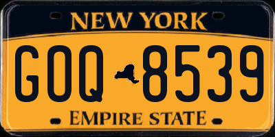NY license plate GOQ8539