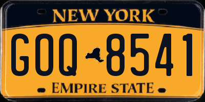 NY license plate GOQ8541