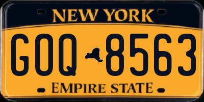 NY license plate GOQ8563
