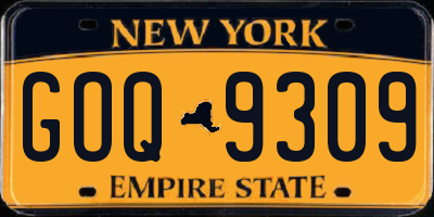 NY license plate GOQ9309
