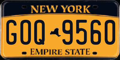 NY license plate GOQ9560