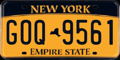NY license plate GOQ9561