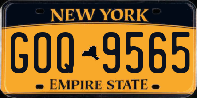 NY license plate GOQ9565