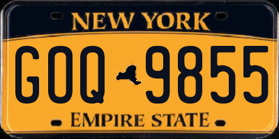 NY license plate GOQ9855