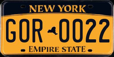 NY license plate GOR0022