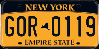 NY license plate GOR0119