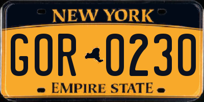NY license plate GOR0230