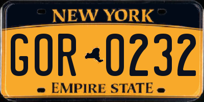 NY license plate GOR0232