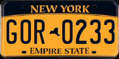 NY license plate GOR0233