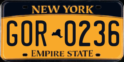 NY license plate GOR0236
