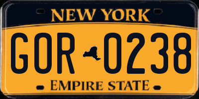 NY license plate GOR0238