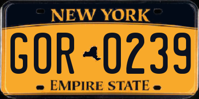 NY license plate GOR0239