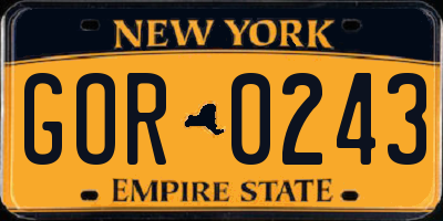 NY license plate GOR0243