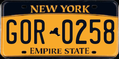 NY license plate GOR0258