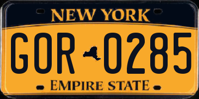 NY license plate GOR0285