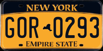NY license plate GOR0293