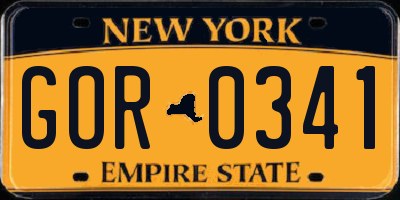 NY license plate GOR0341