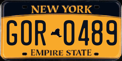 NY license plate GOR0489