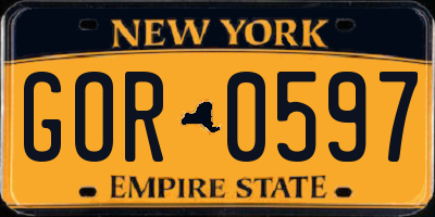 NY license plate GOR0597