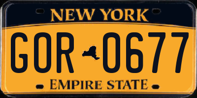 NY license plate GOR0677