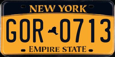 NY license plate GOR0713